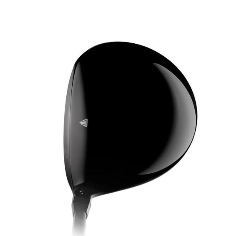 Titleist TS2 Driver